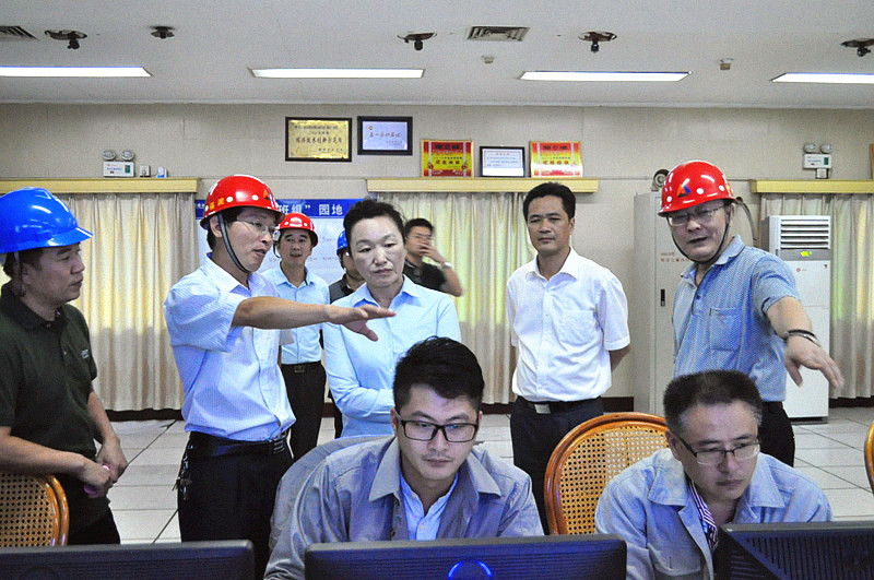 福建省环保厅厅长朱华到福建水泥炼石厂调研